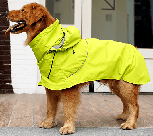 Night-visible windproof dog raincoat medium (large dog) - T4x Quadruple Love